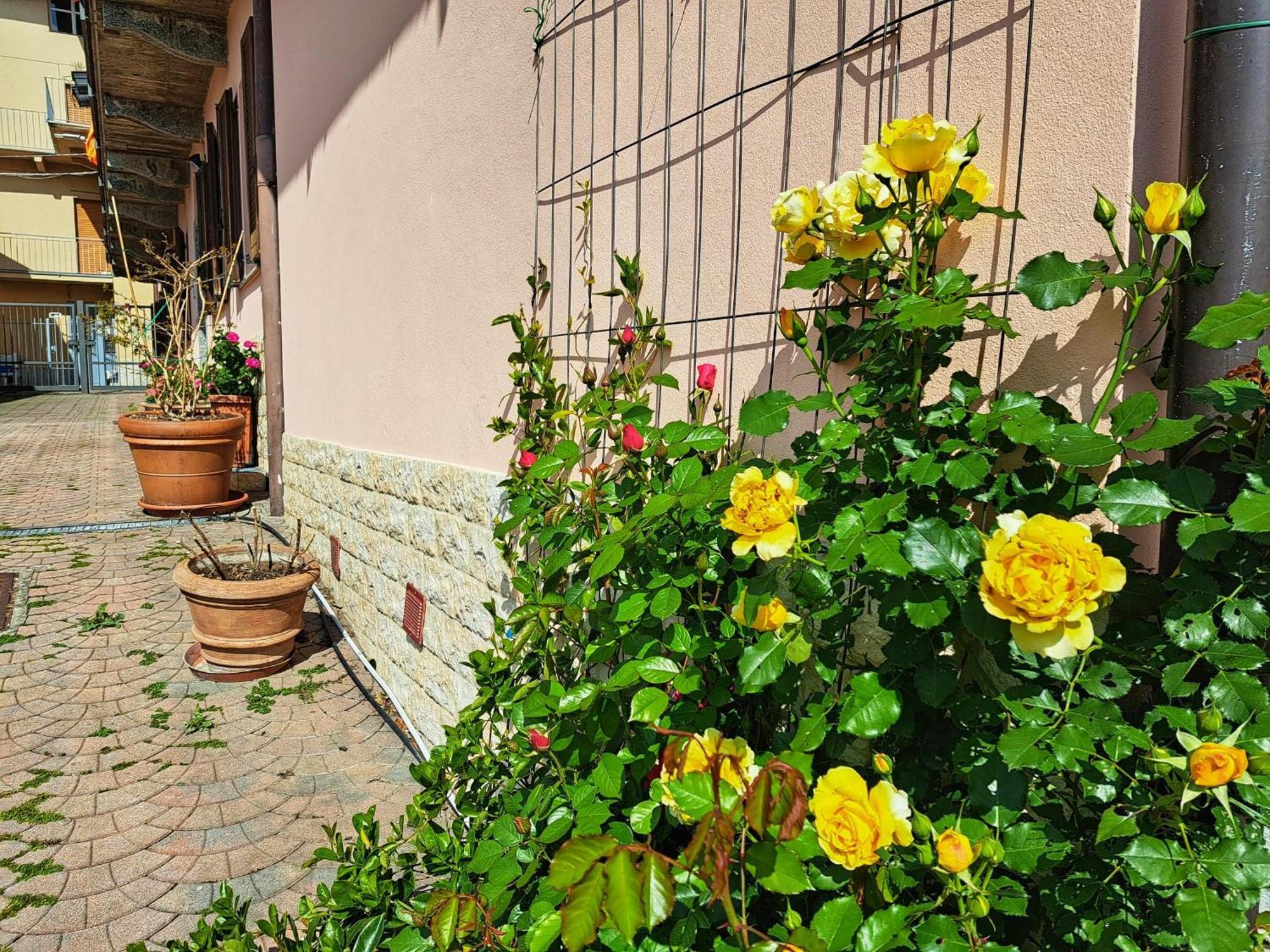 Le Rose Sul Lago 페스카테 외부 사진