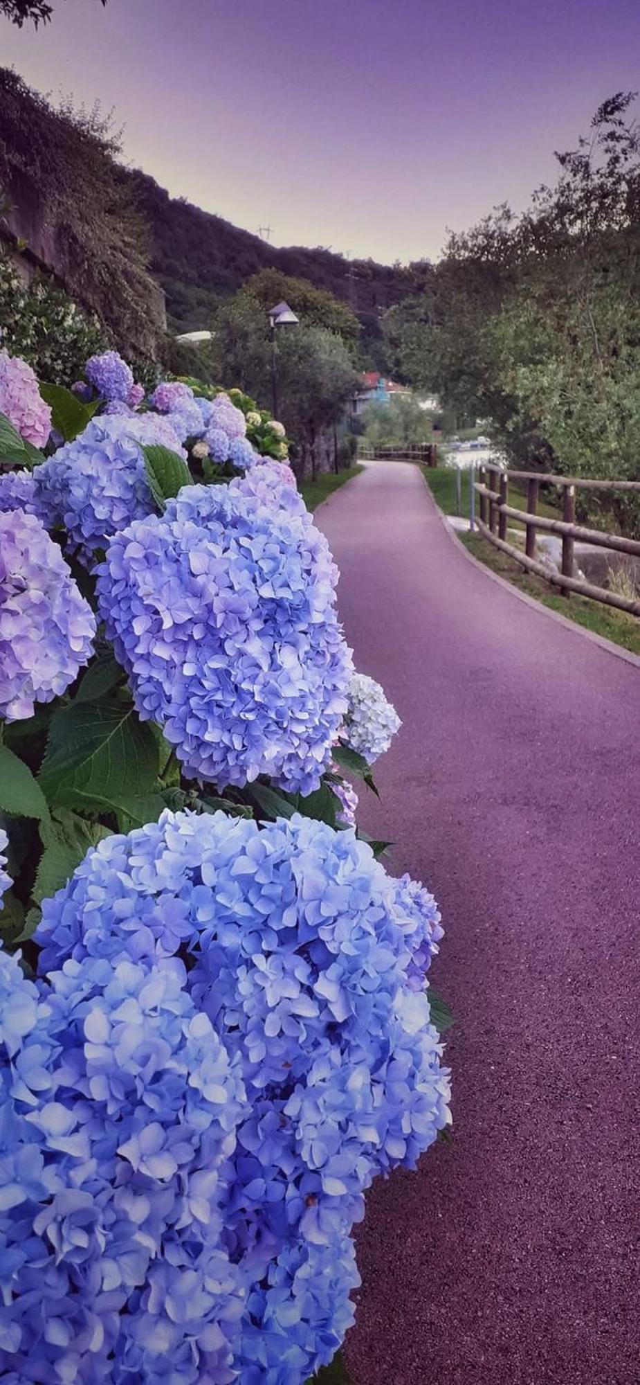 Le Rose Sul Lago 페스카테 외부 사진